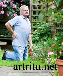Причины артрита позвоночника