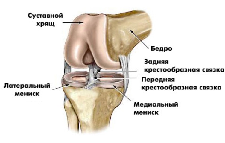 Что такое лигаментоз коленного сустава, как лечить и предупреждать 