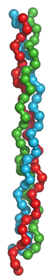 коллаген - фибриллярный белок