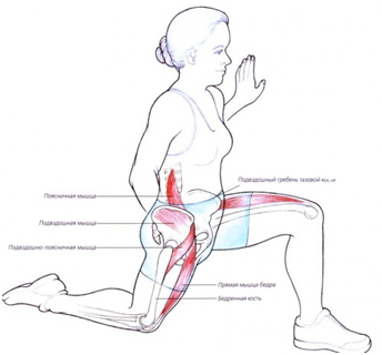 упражнения при тендините подвздошно-поясничной мышцы