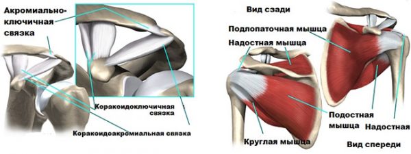 Тейпирование плечевого сустава при болях при поднятии руки схема рисунок