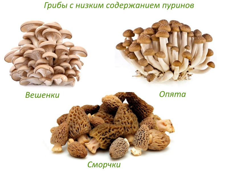 Можно ли есть лесные грибы при подагре thumbnail