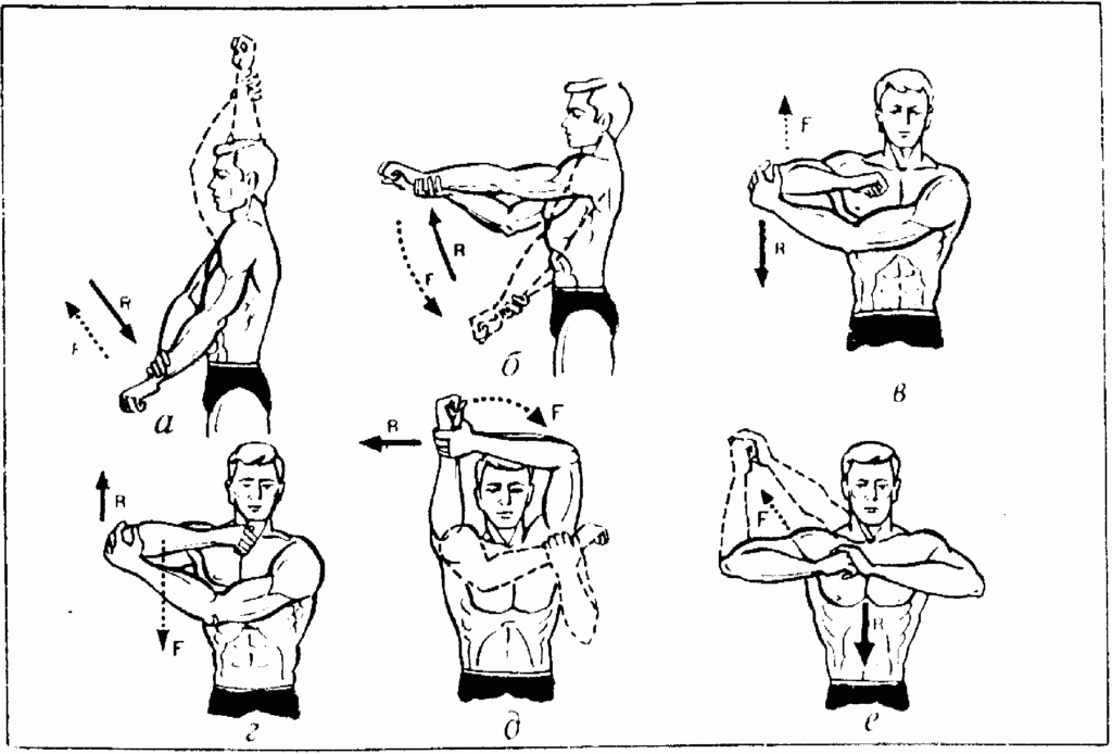 Упражнения для плечевого пояса